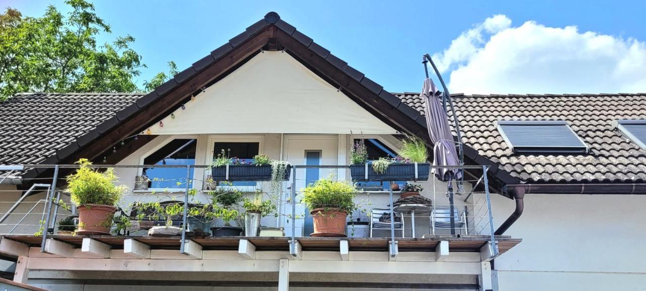 Schwarzwaldliebe Neuried 20 Min Zum Europa Park Apartment Exterior foto